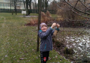 Chłopiec wiesza karmidełko na drzewku w ogrodzie przedszkolnym
